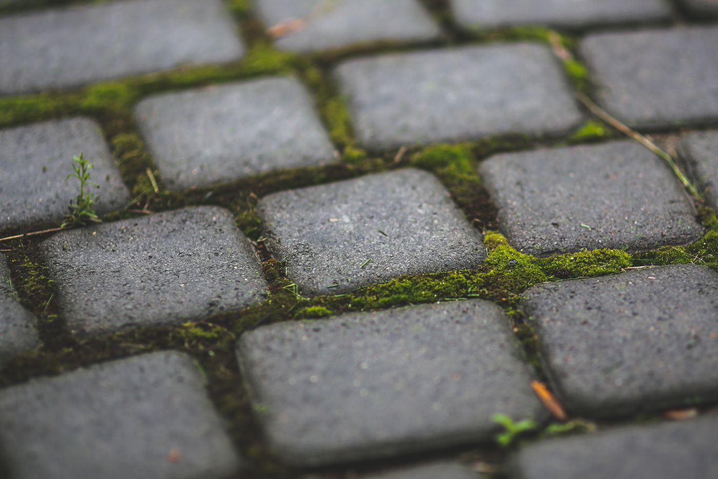 Steinreinigung Koblenz